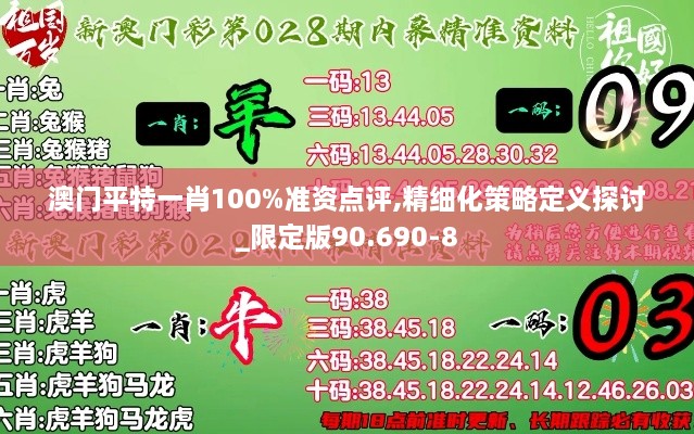 澳门平特一肖100%准资点评,精细化策略定义探讨_限定版90.690-8