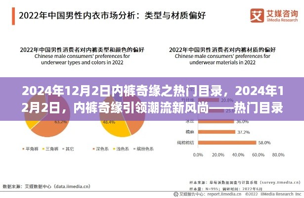 内裤奇缘引领潮流新风尚，热门目录大解析揭秘潮流趋势（日期标注）