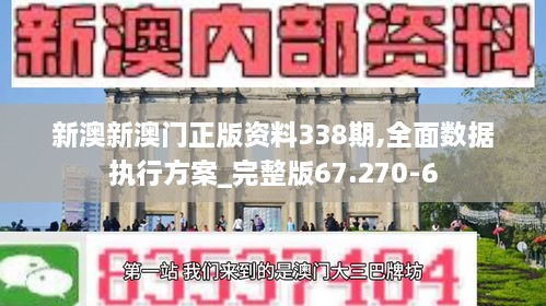 新澳新澳门正版资料338期,全面数据执行方案_完整版67.270-6