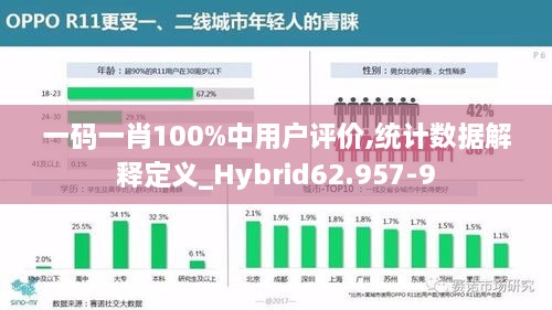 一码一肖100%中用户评价,统计数据解释定义_Hybrid62.957-9