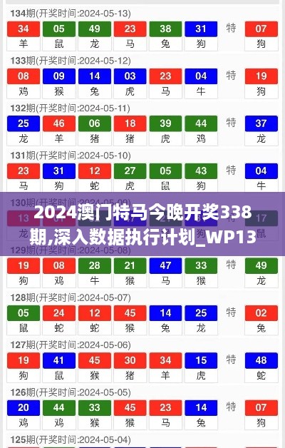 2024澳门特马今晚开奖338期,深入数据执行计划_WP139.877-4