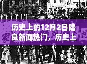 2024年12月3日 第7页