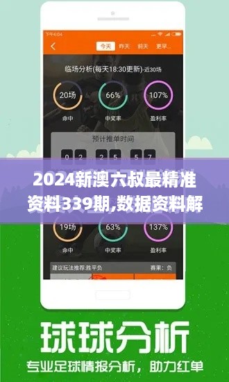 2024新澳六叔最精准资料339期,数据资料解释定义_高级版33.791-7