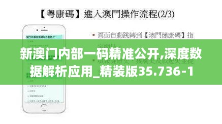 新澳门内部一码精准公开,深度数据解析应用_精装版35.736-1