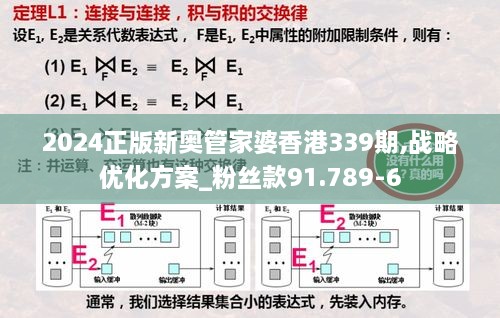 2024正版新奥管家婆香港339期,战略优化方案_粉丝款91.789-6