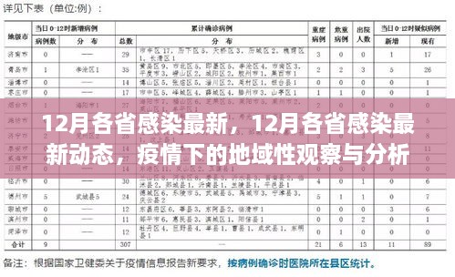 2024年12月4日 第81页