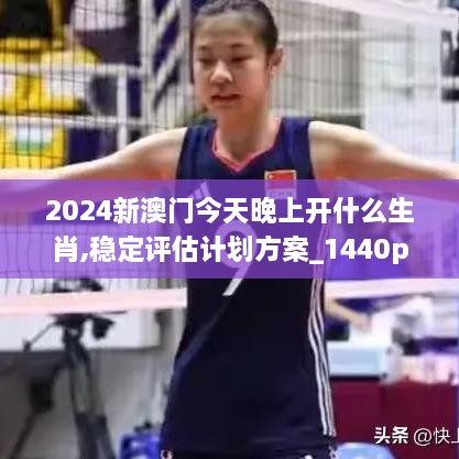 2024新澳门今天晚上开什么生肖,稳定评估计划方案_1440p91.408-1