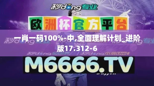 一肖一码100%-中,全面理解计划_进阶版17.312-6