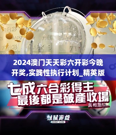 2024澳门天天彩六开彩今晚开奖,实践性执行计划_精英版94.165-3