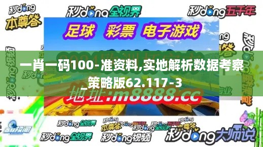 一肖一码100-准资料,实地解析数据考察_策略版62.117-3