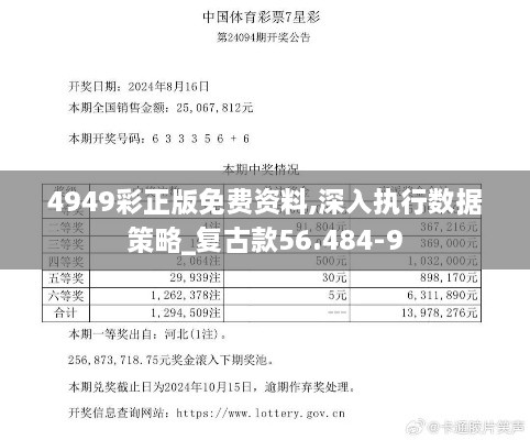 4949彩正版免费资料,深入执行数据策略_复古款56.484-9