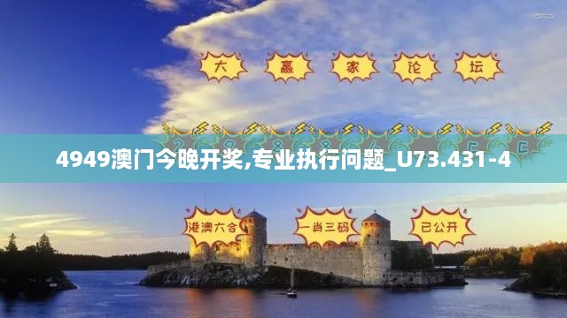 4949澳门今晚开奖,专业执行问题_U73.431-4