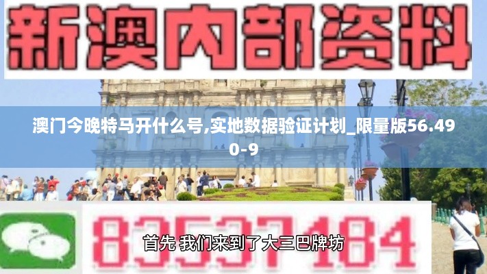 澳门今晚特马开什么号,实地数据验证计划_限量版56.490-9