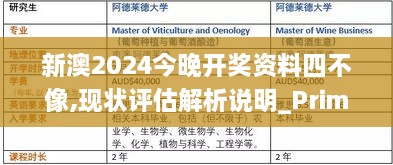 新澳2024今晚开奖资料四不像,现状评估解析说明_Prime23.563-4