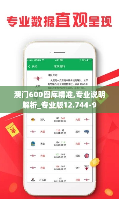 澳门600图库精准,专业说明解析_专业版12.744-9