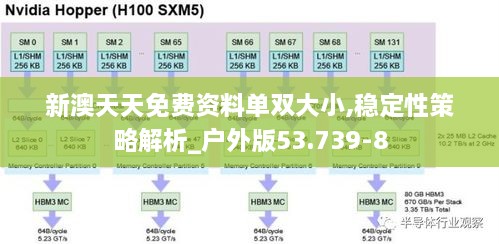 新澳天天免费资料单双大小,稳定性策略解析_户外版53.739-8