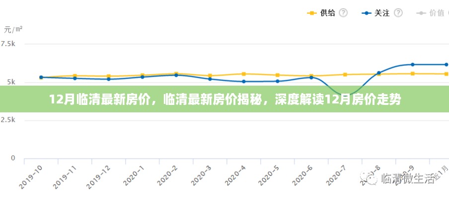 2024年12月4日 第20页