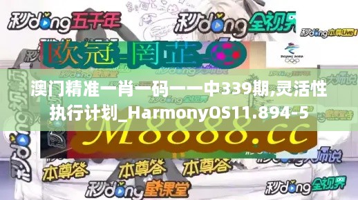 澳门精准一肖一码一一中339期,灵活性执行计划_HarmonyOS11.894-5