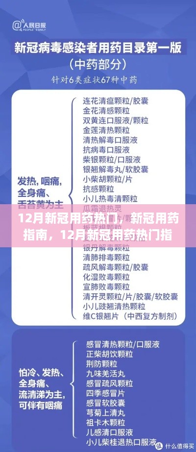 初学者进阶全攻略，12月新冠用药热门指南与用药指南详解