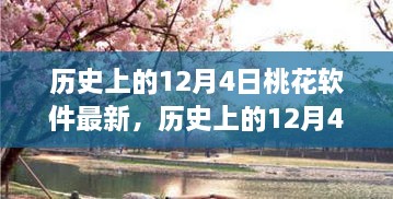 探寻桃花软件最新发展轨迹，历史上的12月4日回顾与最新进展解析