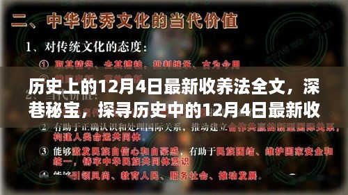 探寻历史中的最新收养法与独特小店的深巷故事，12月4日最新收养法全文揭秘