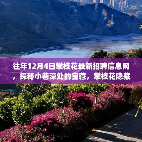 探秘攀枝花小巷深处的招聘信息宝藏，独特小店背后的故事