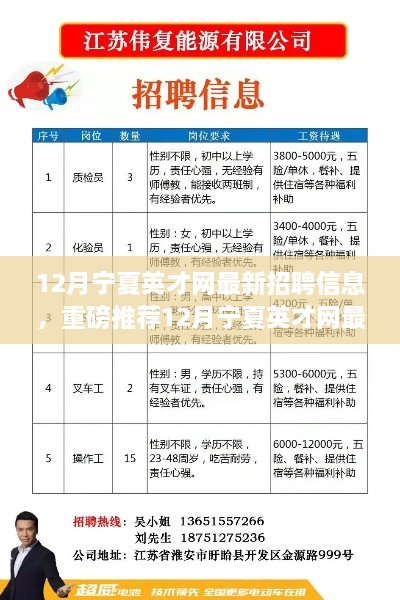 12月宁夏英才网最新招聘信息大揭秘，优质职位等你来挑战