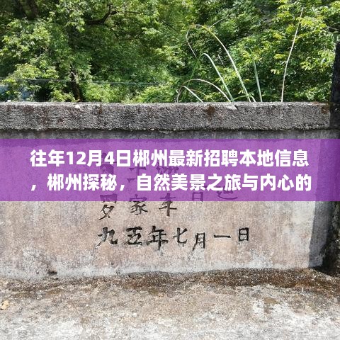 郴州招聘信息及探秘自然美景之旅，寻找内心宁静的召唤日