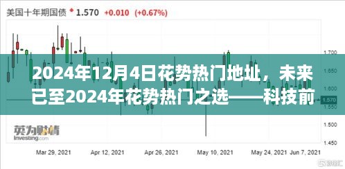 2024年12月5日 第33页