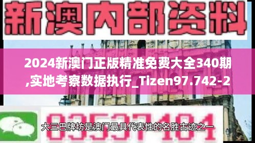 2024新澳门正版精准免费大全340期,实地考察数据执行_Tizen97.742-2