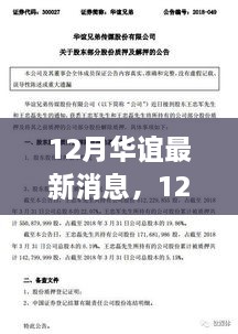 深度解析，华谊最新动态评测与用户体验深度剖析