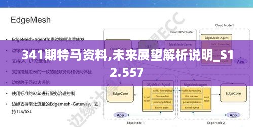 341期特马资料,未来展望解析说明_S12.557