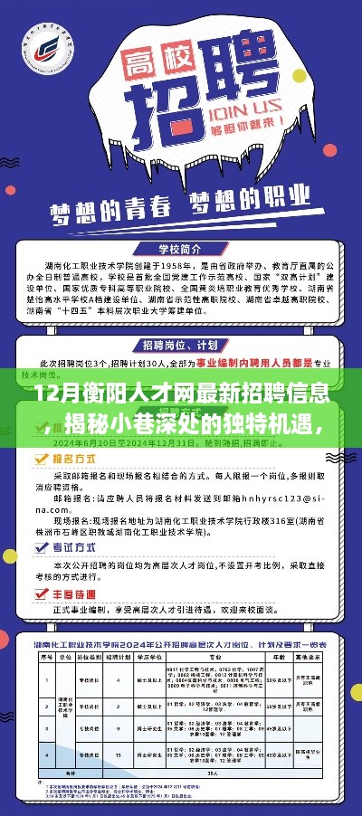 揭秘衡阳人才网最新招聘信息，小巷深处的特色小店招聘机遇