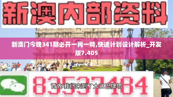 新澳门今晚341期必开一肖一特,快速计划设计解析_开发版7.405