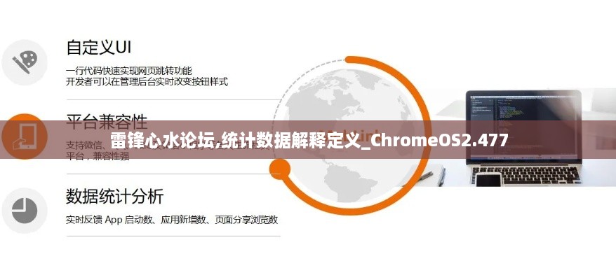 雷锋心水论坛,统计数据解释定义_ChromeOS2.477