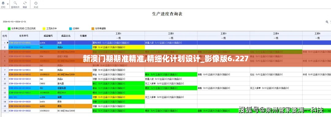 新澳门期期准精准,精细化计划设计_影像版6.227