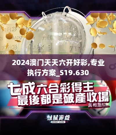 2024澳门天天六开好彩,专业执行方案_S19.630