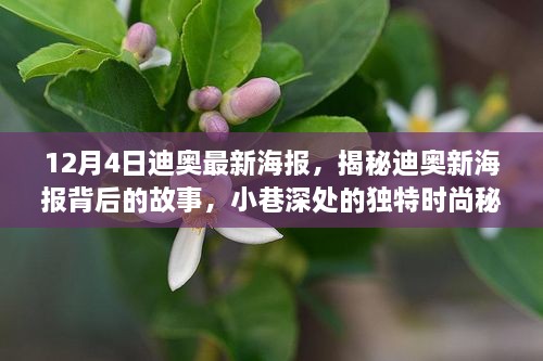 迪奥新海报揭秘，时尚秘境中的独特魅力与故事（12月4日版）