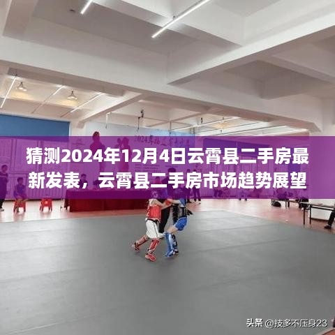 2024年观察点，云霄县二手房市场最新动态与趋势展望