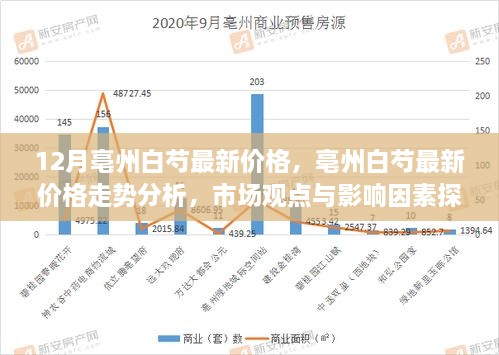 亳州白芍最新价格动态，走势分析、市场观点与影响因素探讨