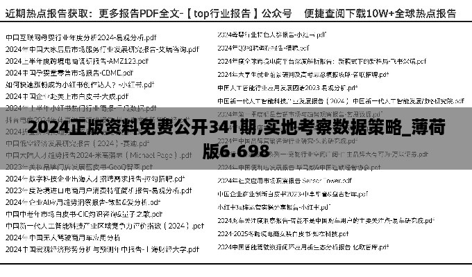 2024正版资料免费公开341期,实地考察数据策略_薄荷版6.698