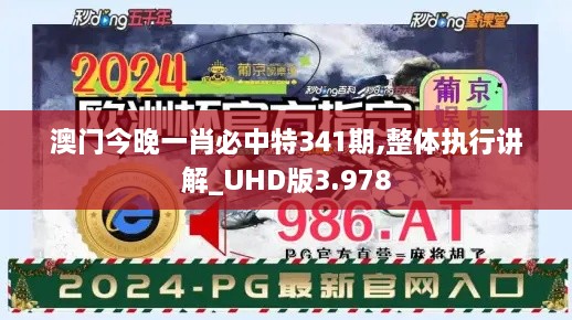 澳门今晚一肖必中特341期,整体执行讲解_UHD版3.978