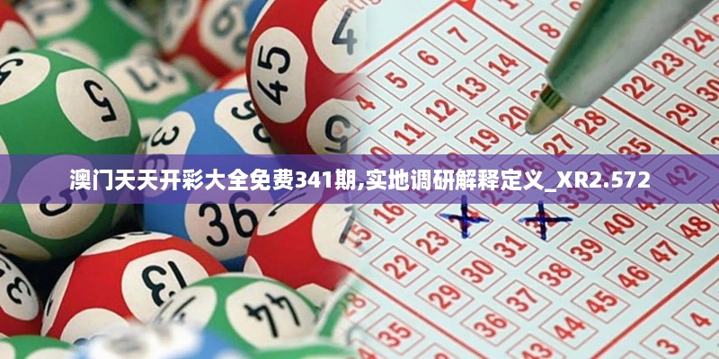 澳门天天开彩大全免费341期,实地调研解释定义_XR2.572