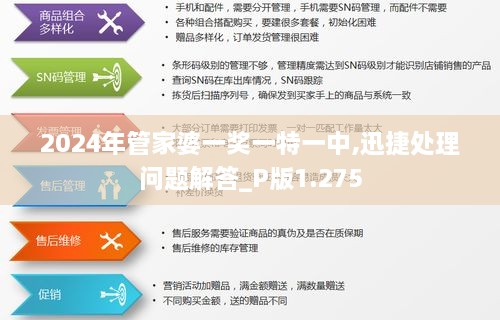 2024年管家婆一奖一特一中,迅捷处理问题解答_P版1.275