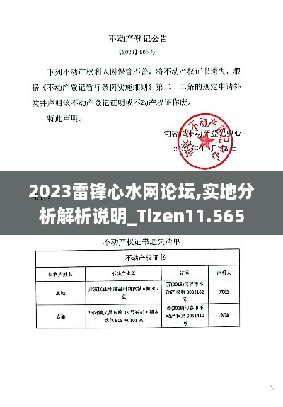 2023雷锋心水网论坛,实地分析解析说明_Tizen11.565