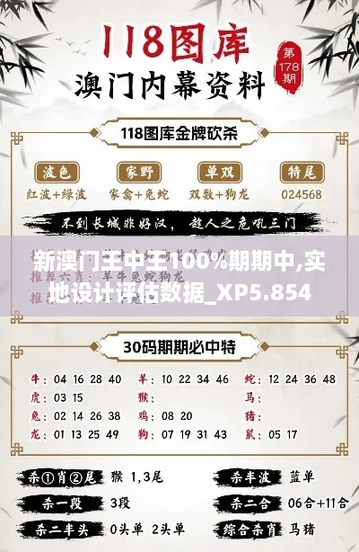 新澳门王中王100%期期中,实地设计评估数据_XP5.854