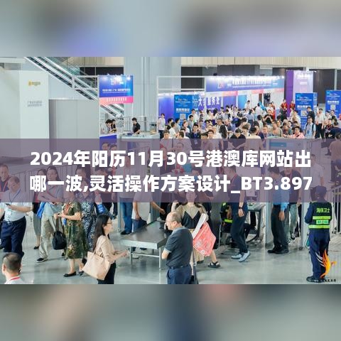 2024年阳历11月30号港澳库网站出哪一波,灵活操作方案设计_BT3.897