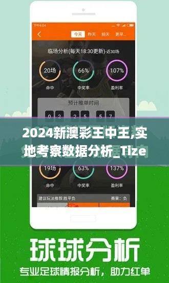 2024新澳彩王中王,实地考察数据分析_Tizen8.636