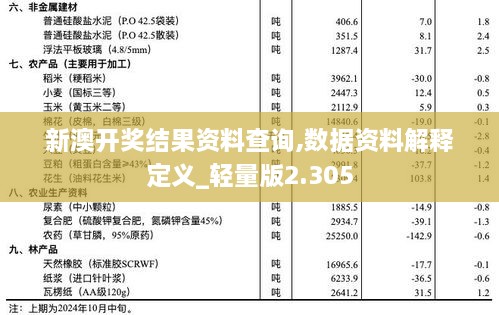 新澳开奖结果资料查询,数据资料解释定义_轻量版2.305