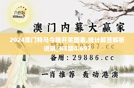 2024澳门特马今晚开奖图表,统计解答解析说明_NE版4.697